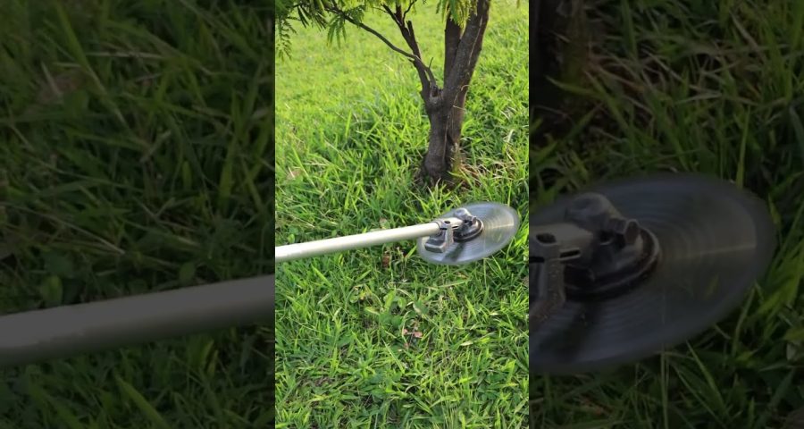 bloqueo de tuberías por raíces leñosas