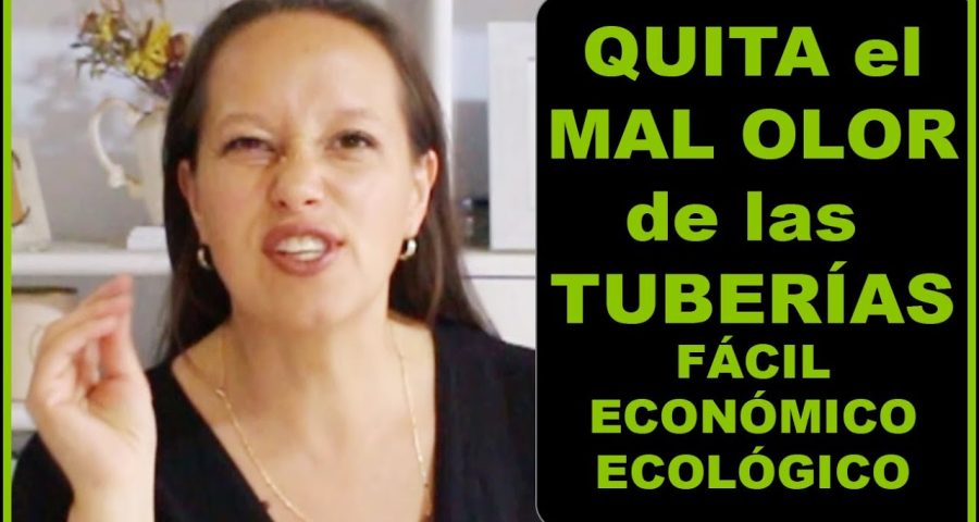 higienización de sifones domésticos