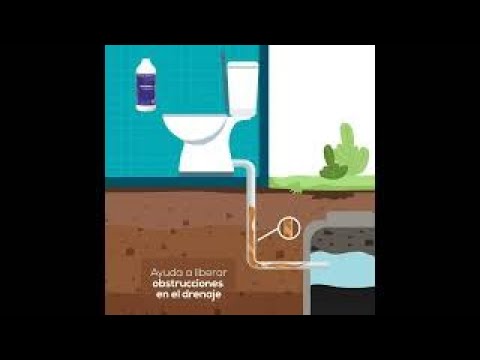 mantenimiento con bacterias activas